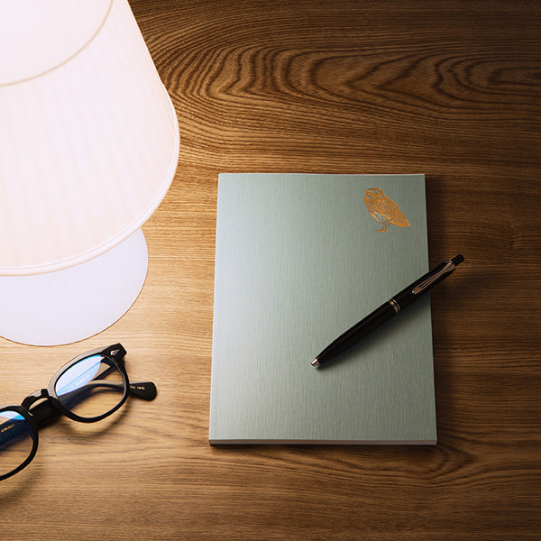 12870006 ミドリ 日記 おやすみA12870006MIDORI 自由日記 デザインフィル 4902805128704（10セット）