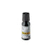 TAT Ink Multifunction A Small Black Shachihata 4974052233043