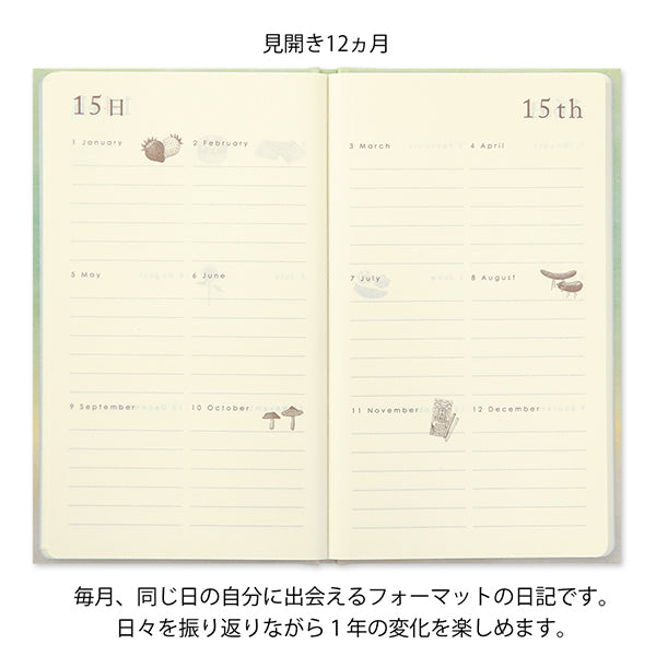 ミドリ ニッキ１２カゲツレンヨウトビラグリーン 12899006　4902805128995（3セット）