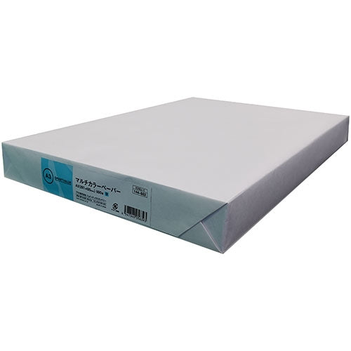 スマートバリュー カラーペーパーA3 空 500枚 A266J-5 4547345056393