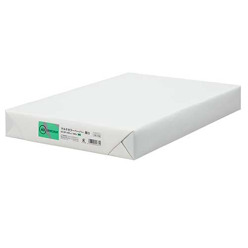 スマートバリュー カラーペーパー厚口A3 浅黄 500枚 A274J-4 4547345056744