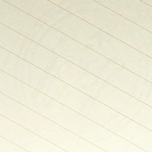 エヌビー 万年筆用B5便箋　ネイビー 5340502 4905260695583（5セット）