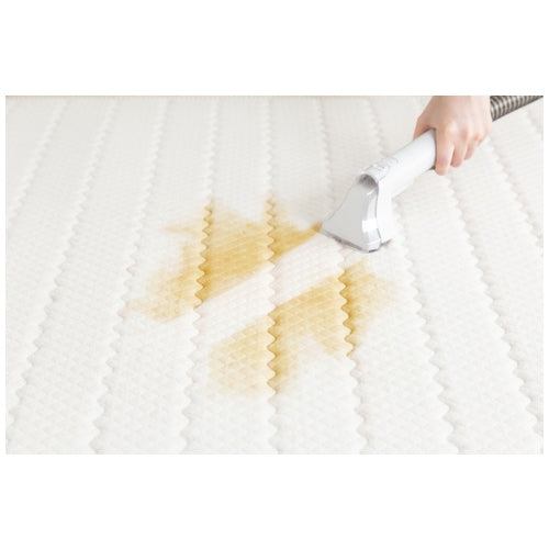 アイリスオーヤマ リンサークリーナー RNS-P10-W 4967576501255