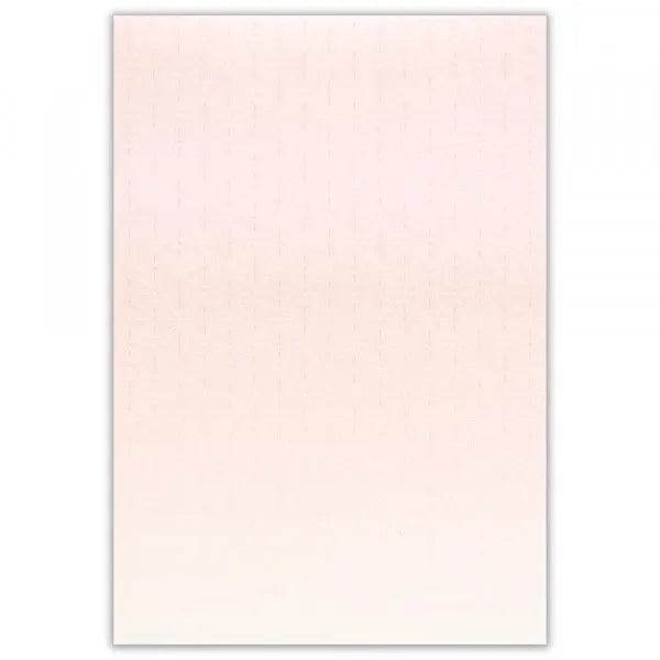 NB DN B5 문구 레이아웃 패턴 NV사 4905260709334 (5 세트)