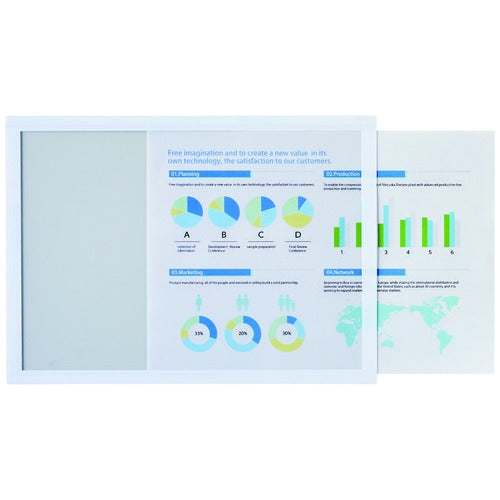 LIHITLAB. マグネツトフレーム  Ａ４  A9100 4903419845698