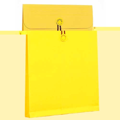 High in spring corner 2 with temple カーデックス 134 gusset string