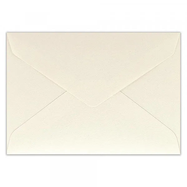 エヌビー カード　多目的　カンタービレ　 5626302 4909510187163（5セット）