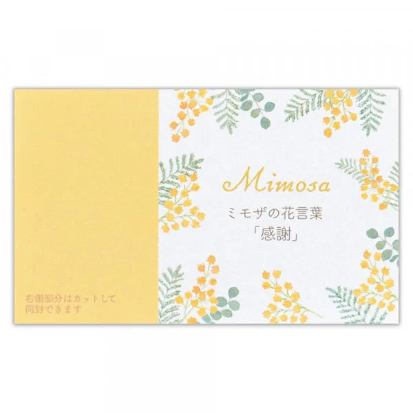 NB Открытка «Язык цветов» «Спасибо, мимоза» 5986302 4909510188696 (5 комплектов)