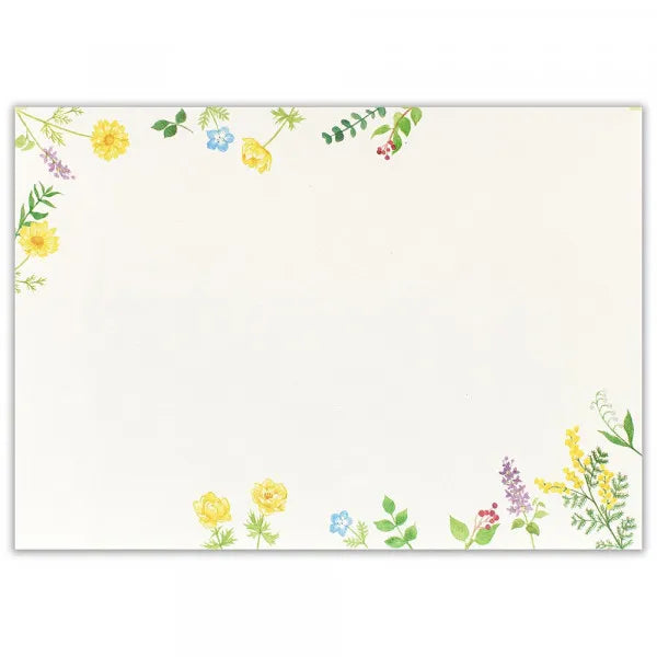 NB Конверт My Garden Collect 5256904 4905260718749 (5 комплектов)