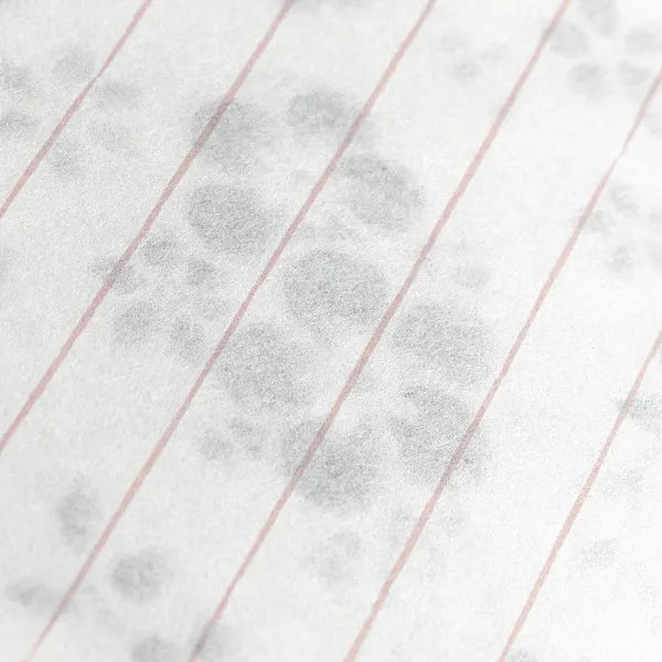 NB문구 호노리 하나베니 4991001 4905260719371 (5세트)