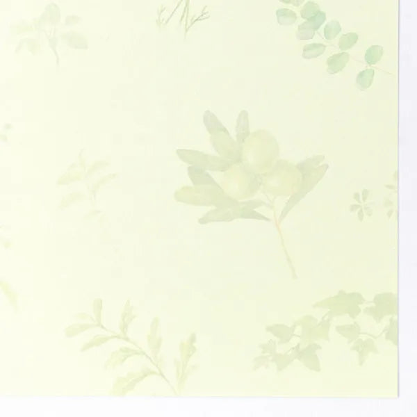 Impressora de papelaria NB compatível com Sage Green 4715604 4905260719746 (5 conjuntos)