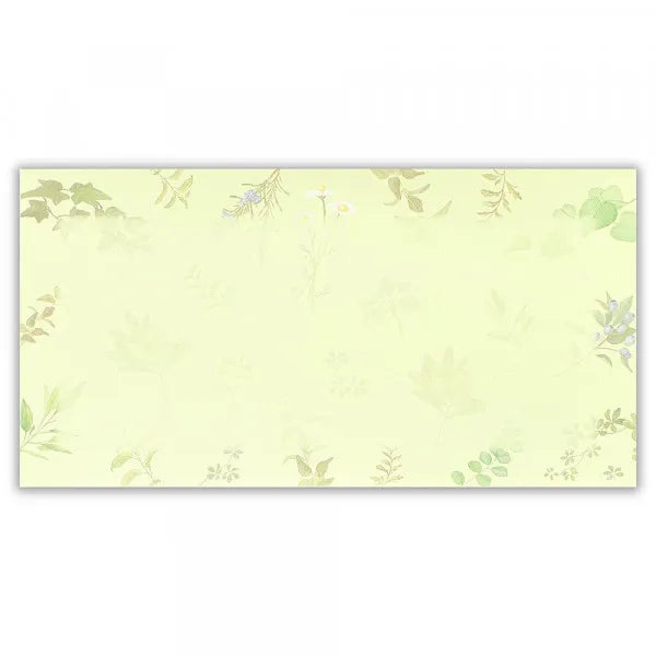 Impressora de envelopes NB compatível com Sage Green 4715504 4905260719753 (5 conjuntos)