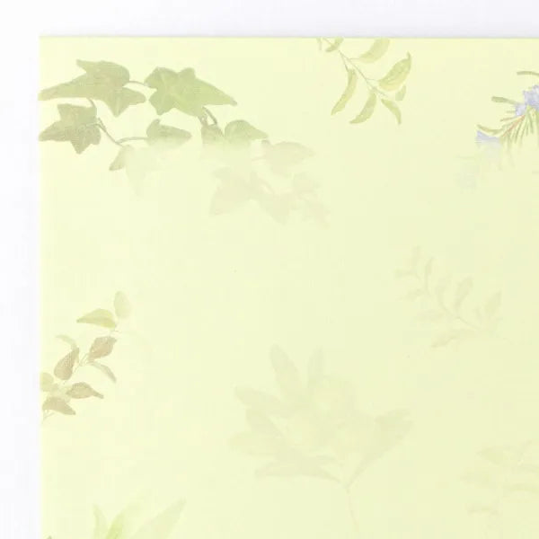 Impressora de envelopes NB compatível com Sage Green 4715504 4905260719753 (5 conjuntos)