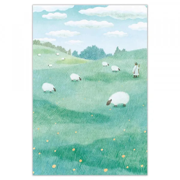 NB Postcard Plateau 5682850 4905260720384 (5 sets)