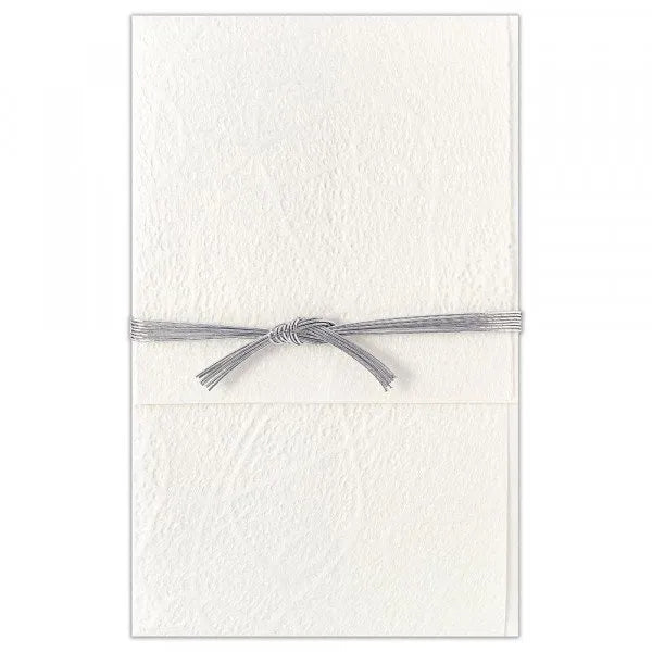 NB Tosa Washi Gold Seal Extra Large Gold Seal Snow 5059404 4909510191900 (3 комплекта)