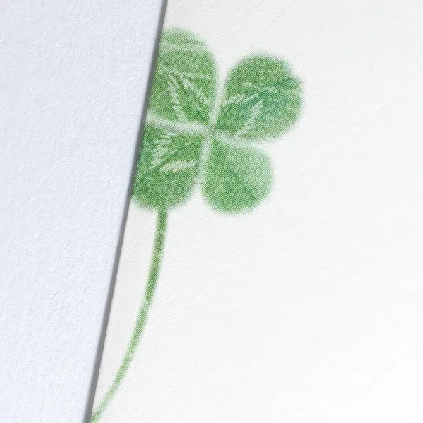 NB Kofumi Sobre que transmite sentimientos de cuatro hojas A 5304925 4905260721862 (5 juegos)