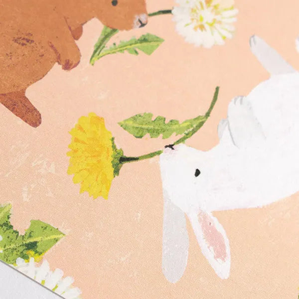 NB Postal Conejo y Diente de León 4922836 4905260721787 (5 juegos)