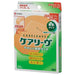 ニチバン 絆創膏ケアリーヴジャンボ CL5J 5枚 4987167037307
