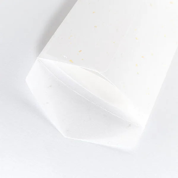 NB Sobre Papel japonés especialmente seleccionado Kinpa Ginpa 5271101 4905260792374 (5 juegos)