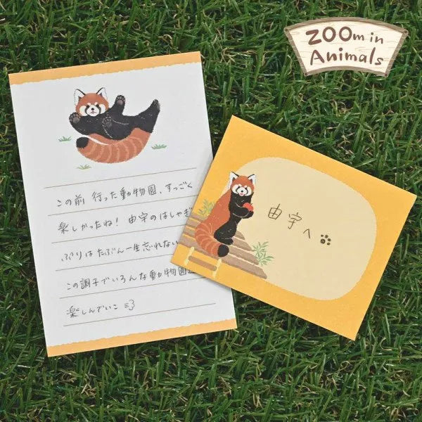 NB Small Telegraph Zoom In Animal Red Panda 5422406 4905260793586 (5 sets)