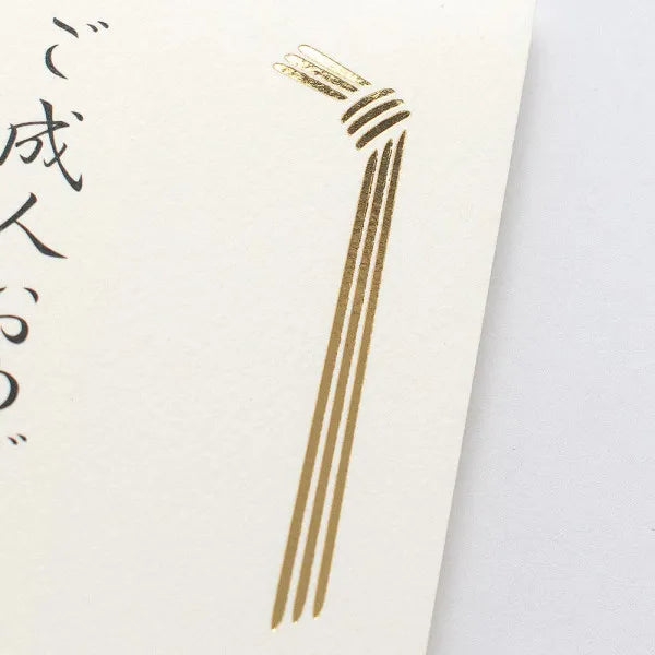 NB Bolsa de regalo Hakama para adultos con texto A 5829141 4909510559458 (5 juegos)