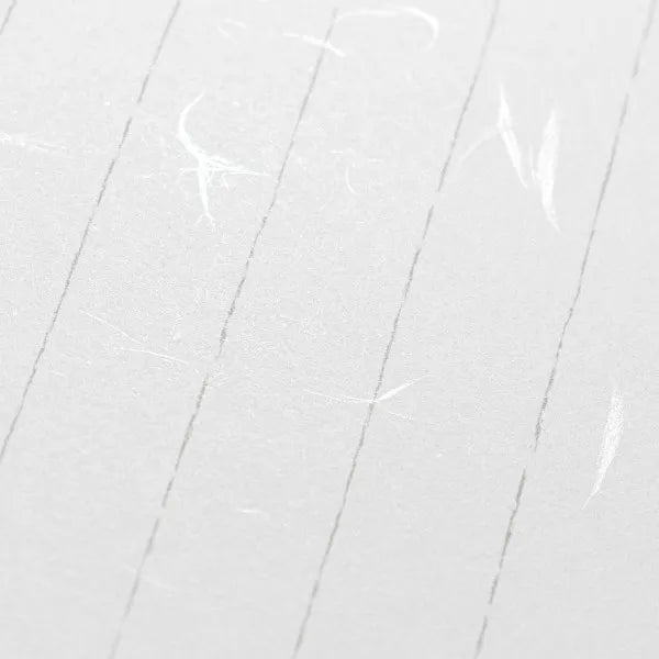 NB Papel japonés B5 papelería papel grande A 5151001 4905260796525 (5 juegos)