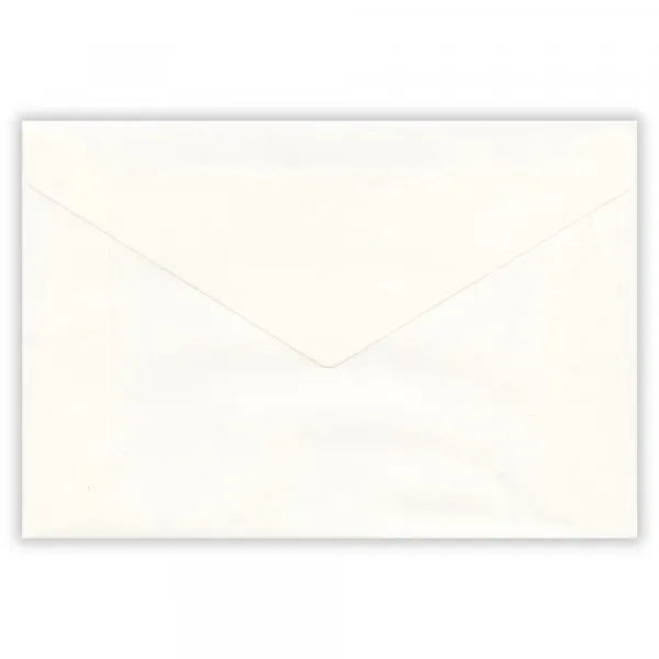 エヌビー レター　ペイル　フルーツウォーター 4040111 4905260796280（5セット）