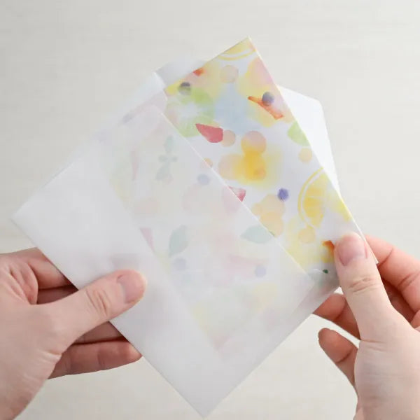 エヌビー レター　ペイル　フルーツウォーター 4040111 4905260796280（5セット）