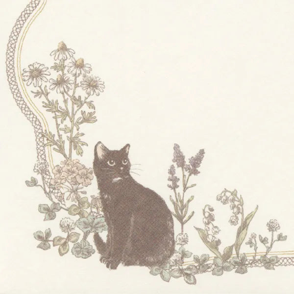 NB Konvolut før lukning 4526919 4905260796914 (5 sæt)