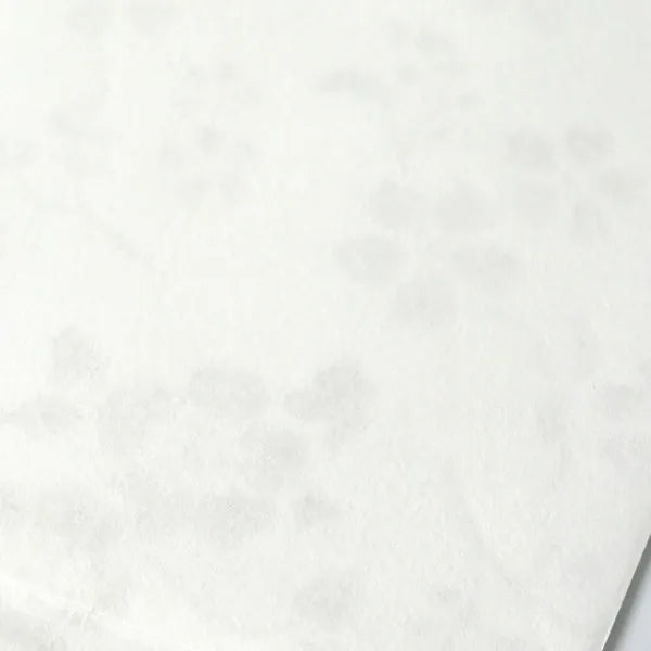 NB sacchetto regalo regalo giallo 5979525 4909510560454 (5 set)