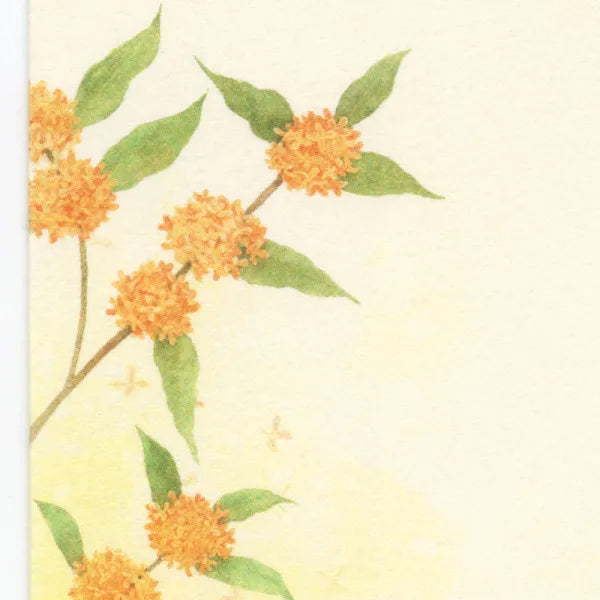 NB Konvolut Efterår Fem Samlinger Duftende Efterår 3A 5811266 4905260797836 (3 sæt)