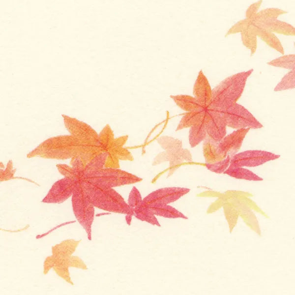 エヌビー社 封筒　秋五集　紅葉の筵 5811263 4905260797805（3セット）