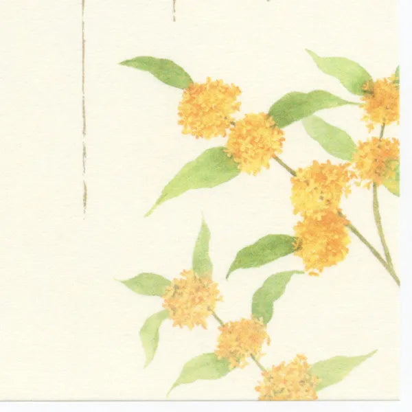 NB Stationery Autumn Five Collections Fragrant Autumn 3A 5810266 4905260797799 (3 sets)
