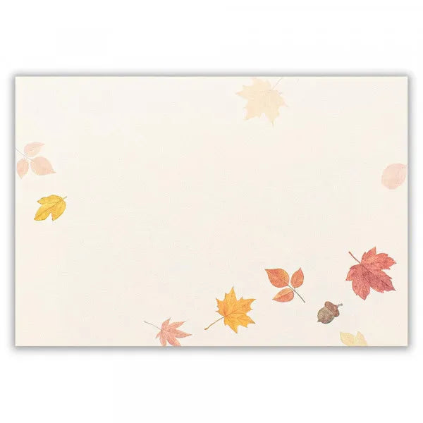 NB Konvolut Autumn Leaf A 4596969 4905260797980 (3 sæt)