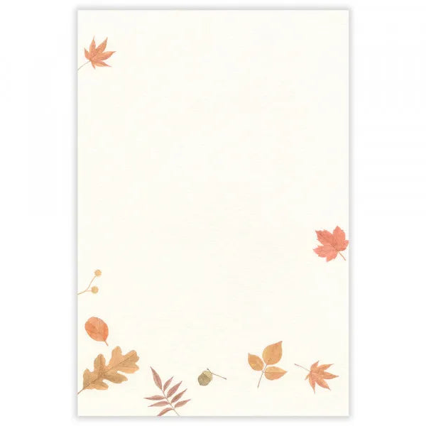 NB Papelería Hoja de Otoño A 4590469 4905260797966 (3 juegos)
