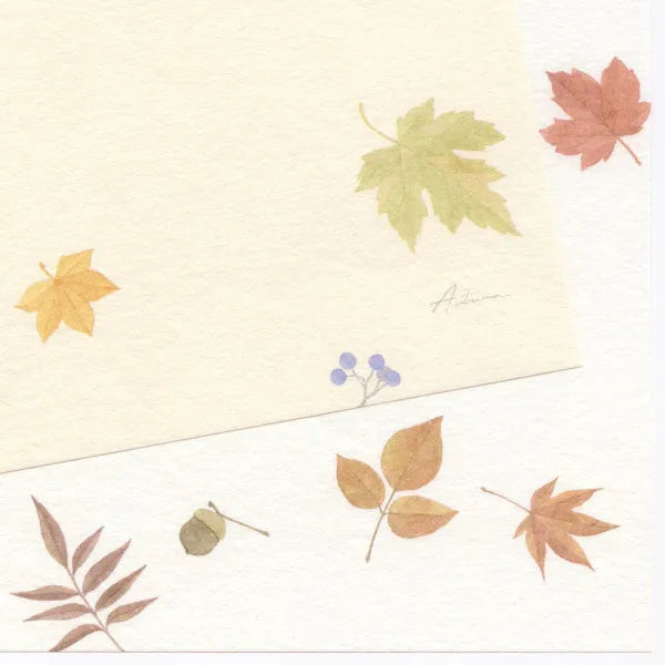 NB Papelería Hoja de Otoño A 4590469 4905260797966 (3 juegos)