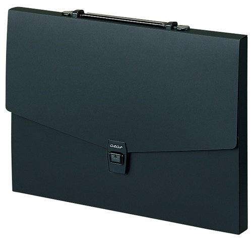 Estuche Sekisei Alterto ART-602-60 B4 Negro