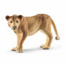 شلايش 14825 أسد (أنثى) 4055744029660
