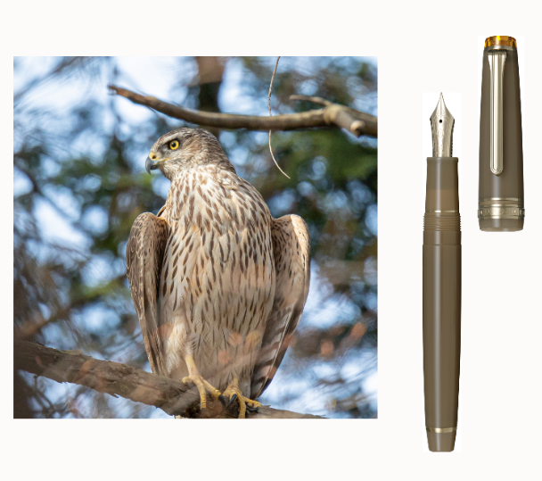 Sailor vulpen SHIKIORI -Shikiori- Noyama's song Vulpen "Wakataka" Medium fijn (MF) 11-1231-302 4901680605768