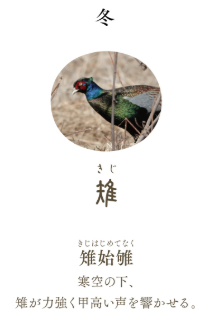 Pen fountain Sailor SHIKIORI -Shikiori- Lagu Noyama Ballpoint pen "Pheasant" 0.7mm 16-0721-204 4901680228462