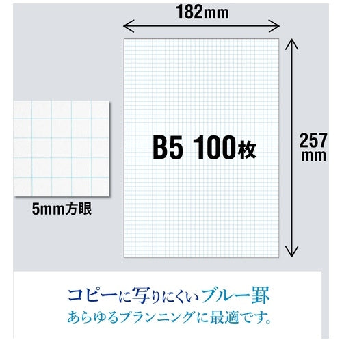Okina project paper PPB55S B5 5mm squares