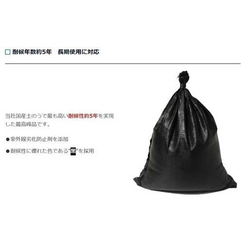 Hagiwara Industries UV black sandbags 30 pieces set 4962074016416