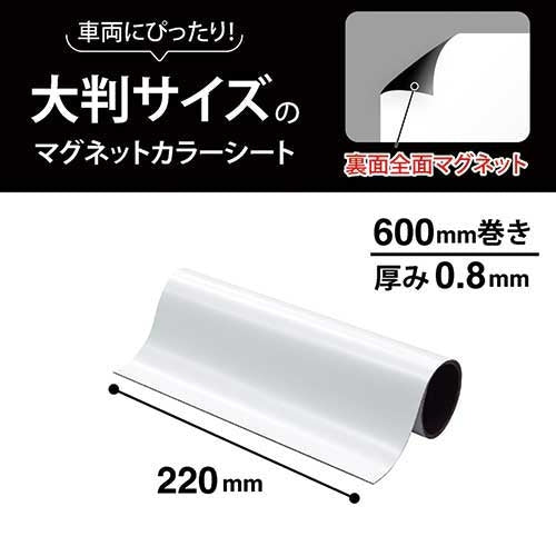 マグエックス マグネットシート強力 大判 MSCP-08-2260-W 4535627230470