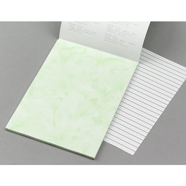 ミドリ/便箋森色ﾉｷﾓﾁ 4902805204033