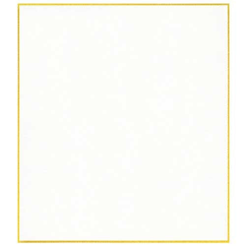 菅公工業 立てかけ色紙 ケ149 白 4971655251498