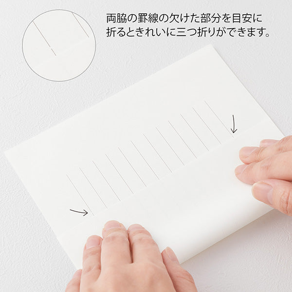 ミドリ ＭＤビンセンコットンタテケイＡ 20585006 4902805205856（5セット）