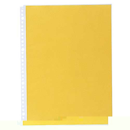 LIHITLAB chestnut yeah pocket N-2102 A4S 30 hole ten pieces yellow 4903419349172