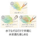 ステッドラーカラト picture in watercolors colored pencil 125M12 12 colors