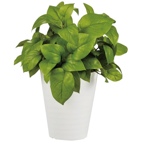 PLUS（プラス）オフィス家具 人工樹木 ライムポトス 90239　