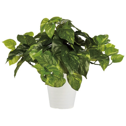 PLUS（プラス）オフィス家具 人工樹木 ポトスブッシュ 90240　